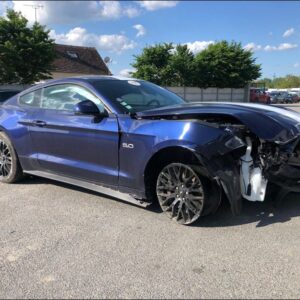 FORD MUSTANG  5.0 V8